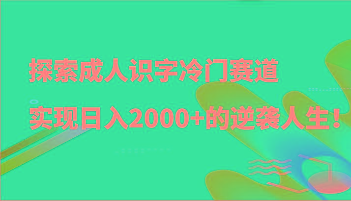 探索成人识字冷门赛道，实现日入2000+的逆袭人生！-皮皮网创