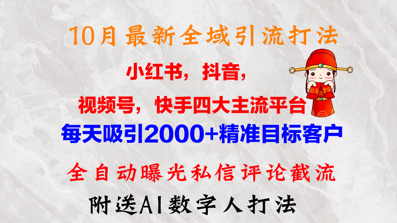 10月最新小红书，抖音，视频号，快手四大平台全域引流，，每天吸引2000…-皮皮网创