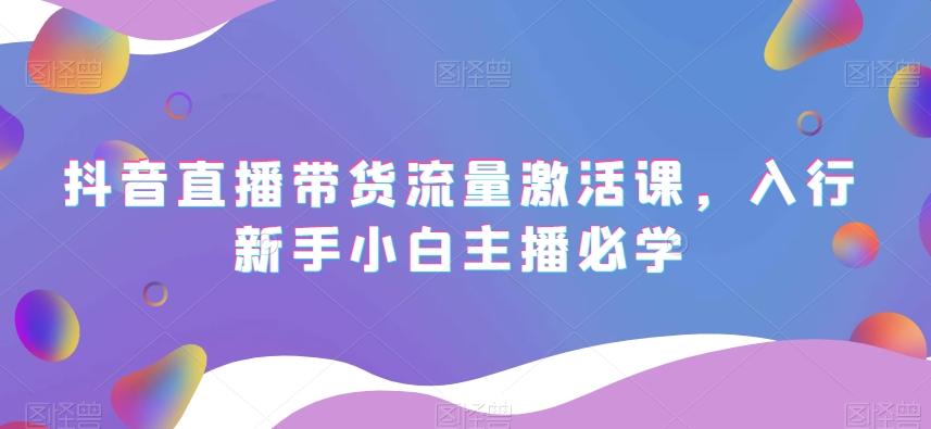 抖音直播带货流量激活课，入行新手小白主播必学-皮皮网创