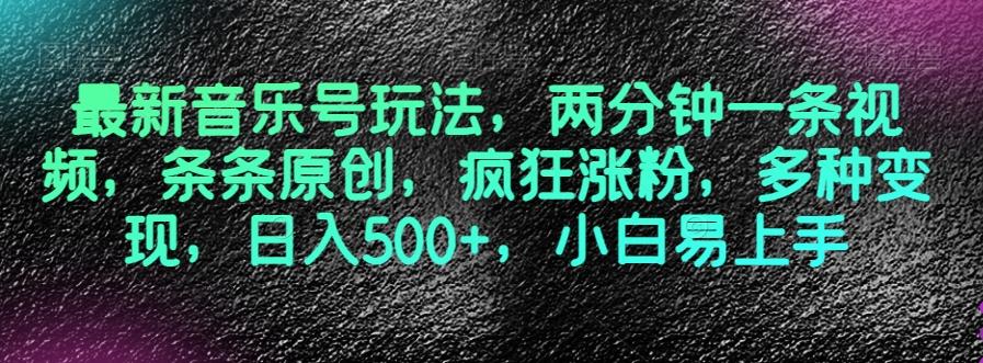 最新音乐号玩法，两分钟一条视频，条条原创，疯狂涨粉，多种变现，日入500+，小白易上手【揭秘】-皮皮网创