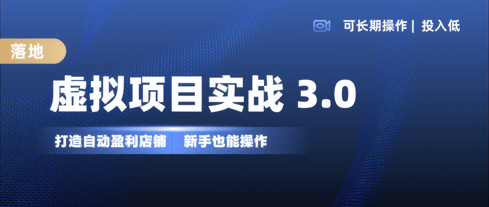 虚拟项目实操落地 3.0,新手轻松上手，单品月入1W+-皮皮网创