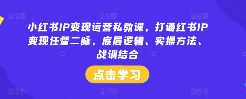 小红书IP变现运营私教课，打通红书IP变现任督二脉，底层逻辑、实操方法、战训结合-皮皮网创