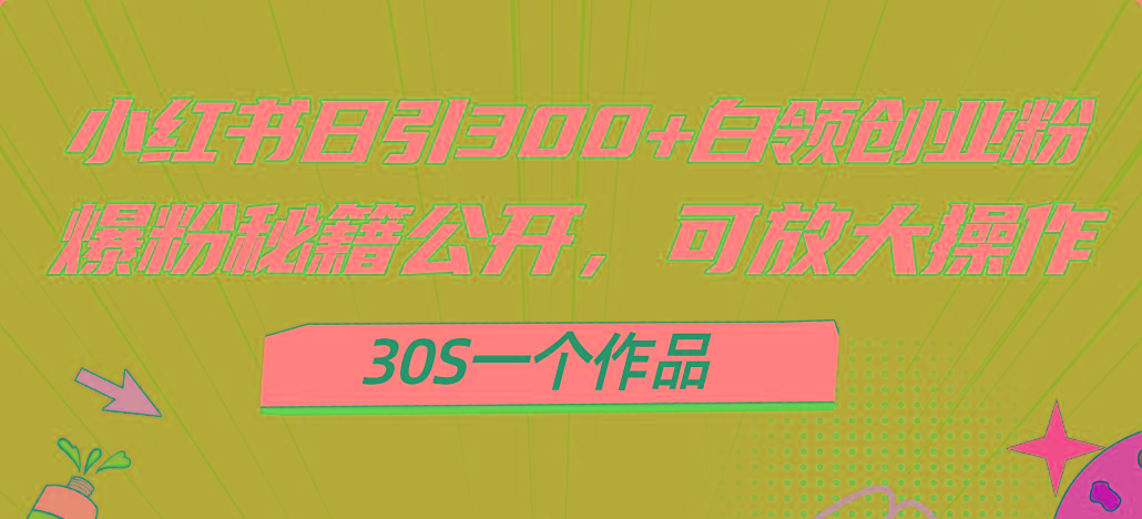 小红书日引300+高质白领创业粉，可放大操作，爆粉秘籍！30s一个作品-皮皮网创
