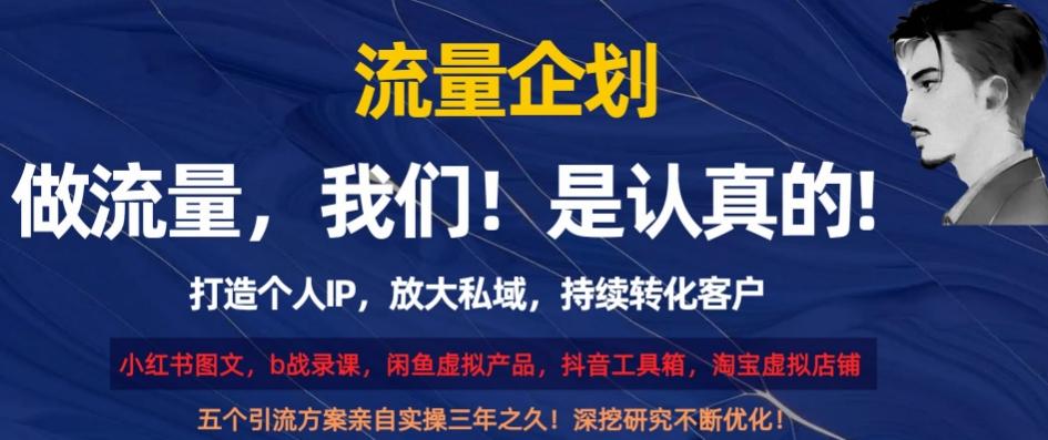 流量企划，打造个人IP，放大私域，持续转化客户【揭秘】-皮皮网创
