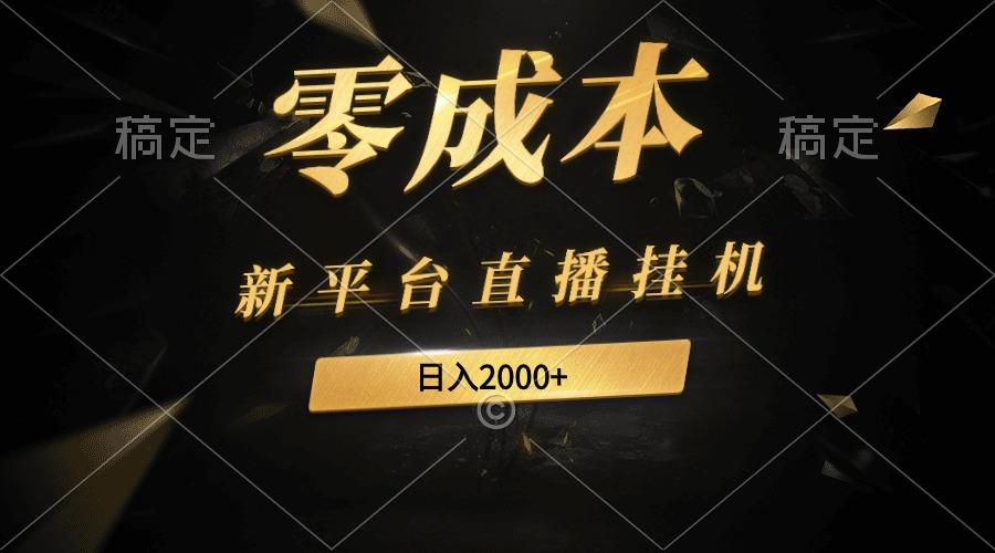 (9841期)新平台直播挂机最新玩法，0成本，不违规，日入2000+-皮皮网创