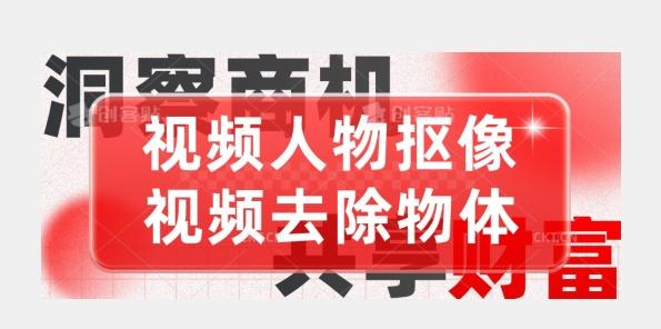 【超强视频处理工具】视频人物抠像+视频去除物体-皮皮网创