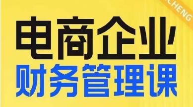电商企业财务管理线上课，为电商企业规划财税-皮皮网创
