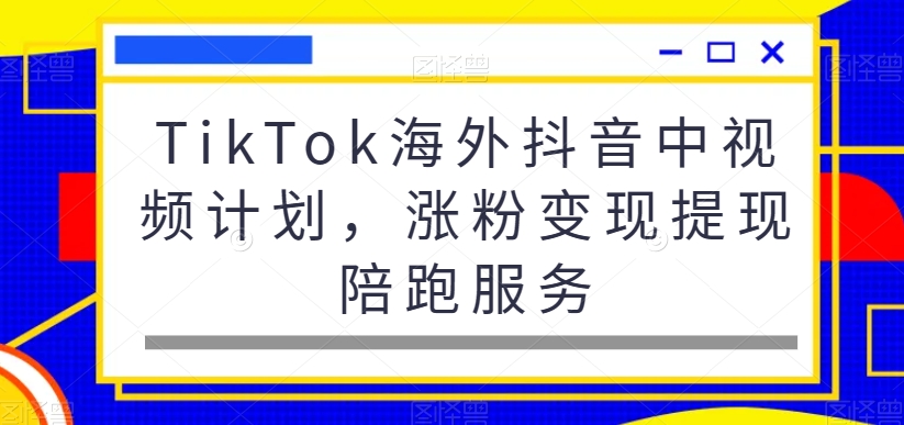 TikTok海外抖音中视频计划，涨粉变现提现陪跑服务-皮皮网创