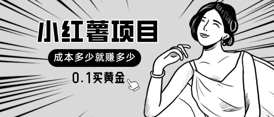 小红薯暴力项目，0.1买黄金。操作简单，日入无上限，可无限扩大。-皮皮网创
