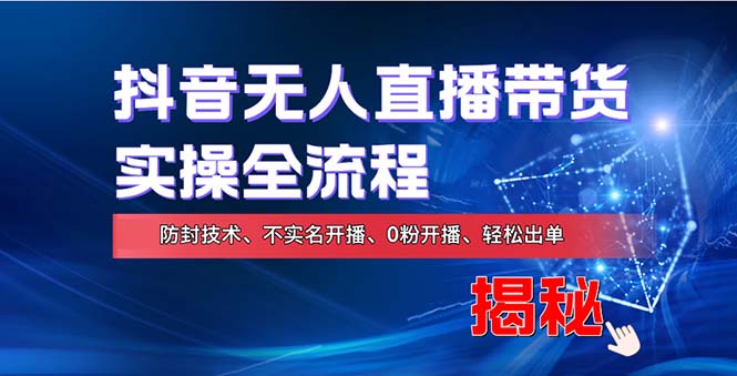 在线赚钱新途径：如何用抖音无人直播实现财务自由，全套实操流程，含…-皮皮网创