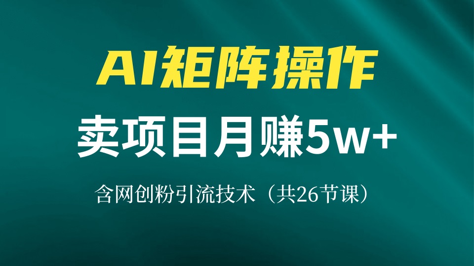 网创IP打造课，借助AI卖项目月赚5万+，含引流技术(共26节课-皮皮网创