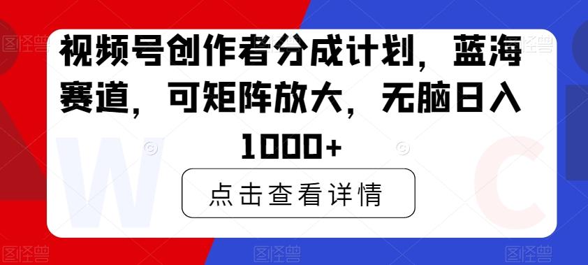 视频号创作者分成计划，蓝海赛道，可矩阵放大，无脑日入1000+-皮皮网创
