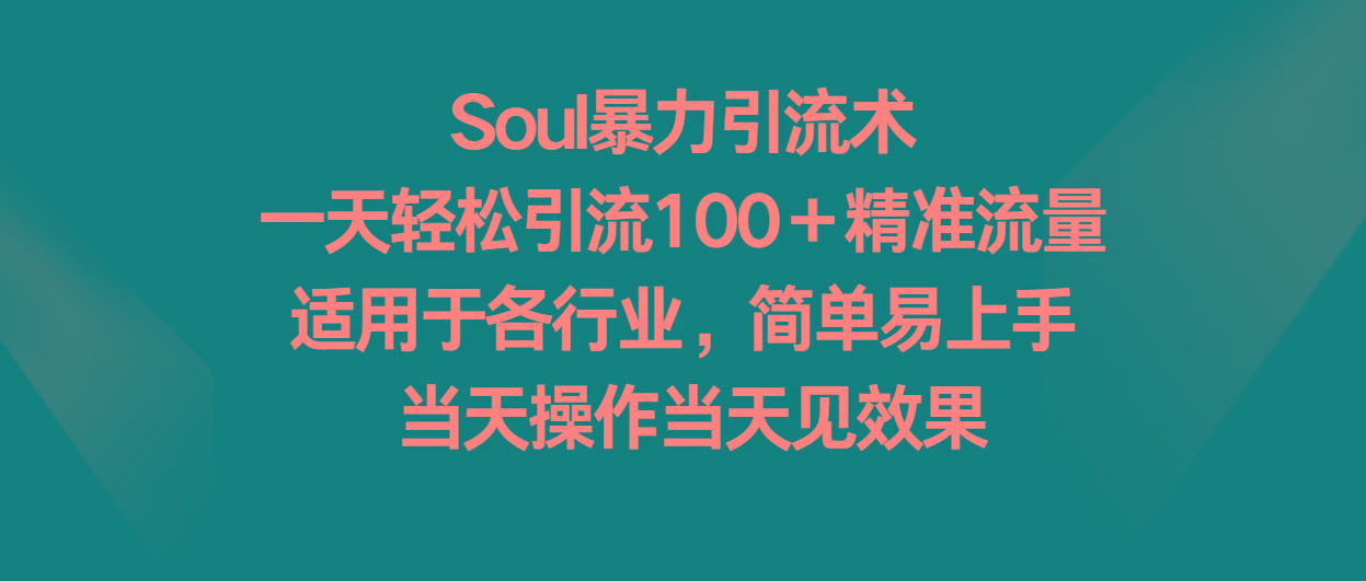 Soul暴力引流术，一天轻松引流100＋精准流量，适用于各行业，简单易上手！-皮皮网创