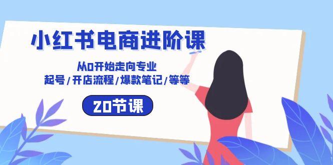 小红书电商进阶课：从0开始走向专业 起号/开店流程/爆款笔记/等等(20节-皮皮网创