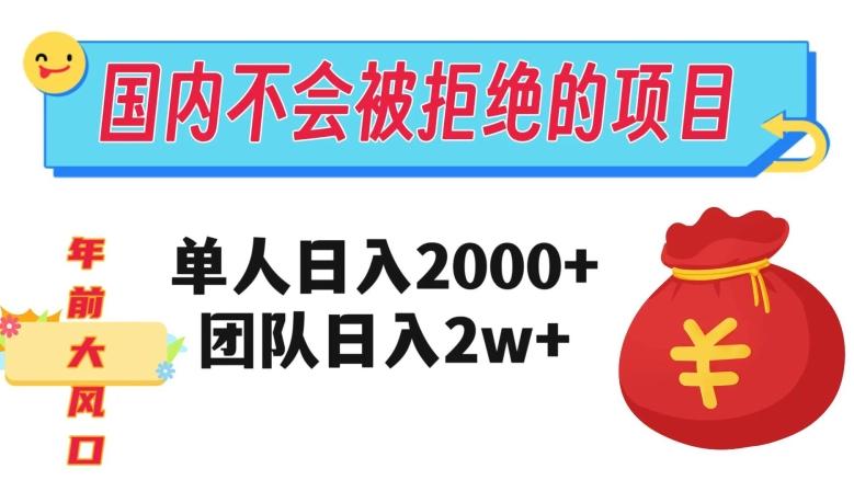 在国内不怕被拒绝的项目，单人日入2000，团队日入20000+【揭秘】-皮皮网创