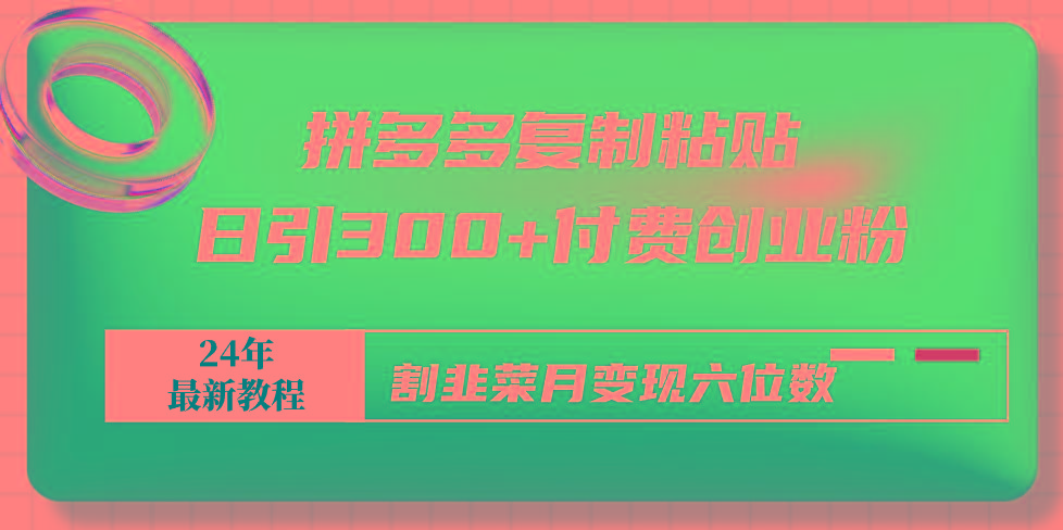 拼多多复制粘贴日引300+付费创业粉，割韭菜月变现六位数最新教程！-皮皮网创