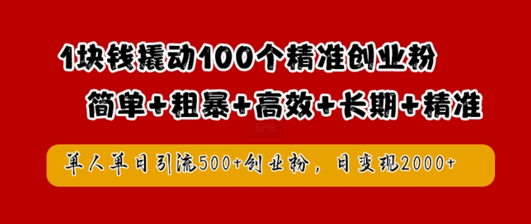 1块钱撬动100个精准创业粉，简单粗暴高效长期精准，单人单日引流500+创业粉，日变现2k【揭秘】-皮皮网创