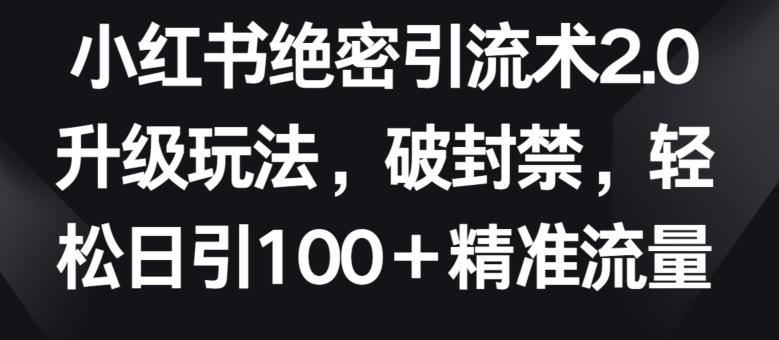 小红书绝密引流术2.0升级玩法，破封禁，轻松日引100+精准流量【揭秘】-皮皮网创