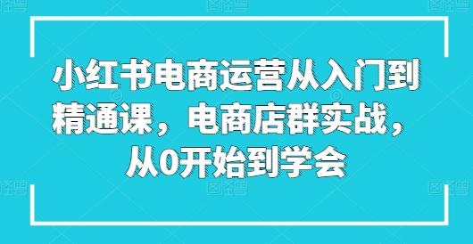 小红书电商运营从入门到精通课，电商店群实战，从0开始到学会-皮皮网创