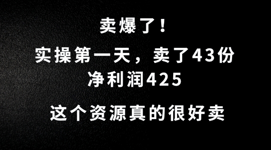 这个资源，需求很大，实操第一天卖了43份，净利润425【揭秘】-皮皮网创