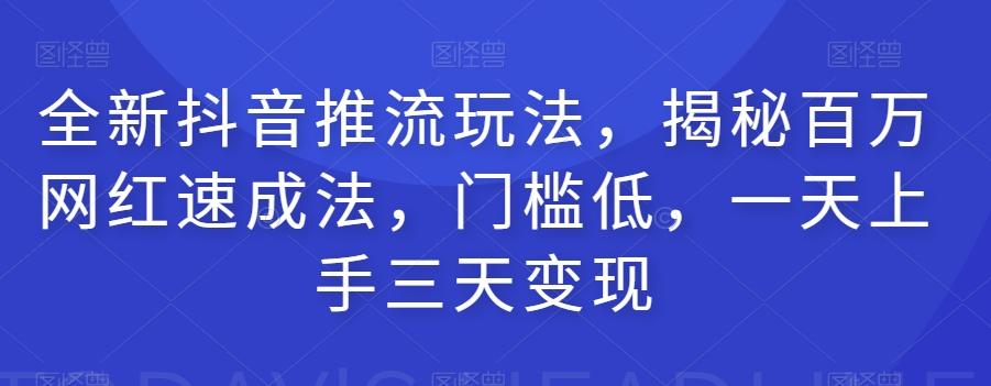 全新抖音推流玩法，揭秘百万网红速成法，门槛低，一天上手三天变现-皮皮网创