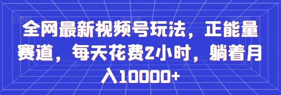 全网最新视频号玩法，正能量赛道，每天花费2小时，躺着月入10000+【揭秘】-皮皮网创
