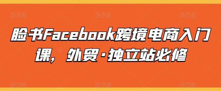 脸书Facebook跨境电商入门课，外贸·独立站必修-皮皮网创