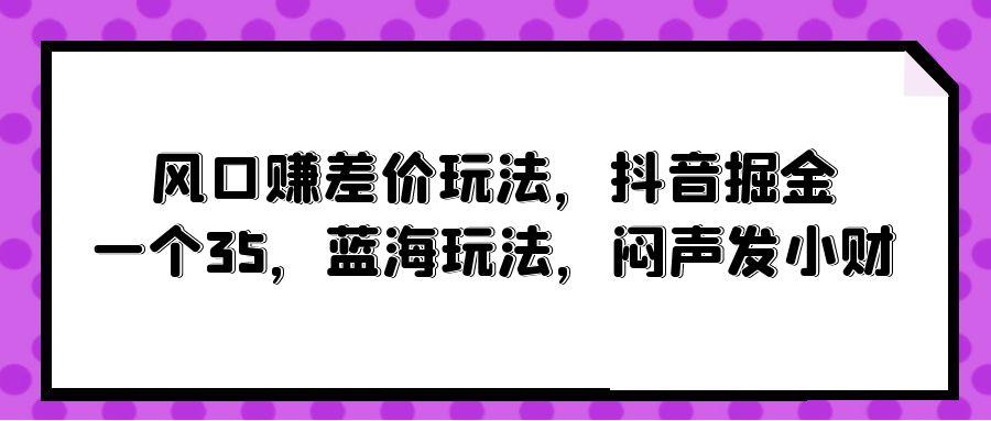 (10022期)风口赚差价玩法，抖音掘金，一个35，蓝海玩法，闷声发小财-皮皮网创