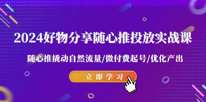 2024好物分享-随心推投放实战课 随心推撬动自然流量/微付费起号/优化产出-皮皮网创