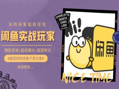 手把手教你0到1系统玩转闲鱼变现，爆款思维/超级曝光/超高转化-皮皮网创