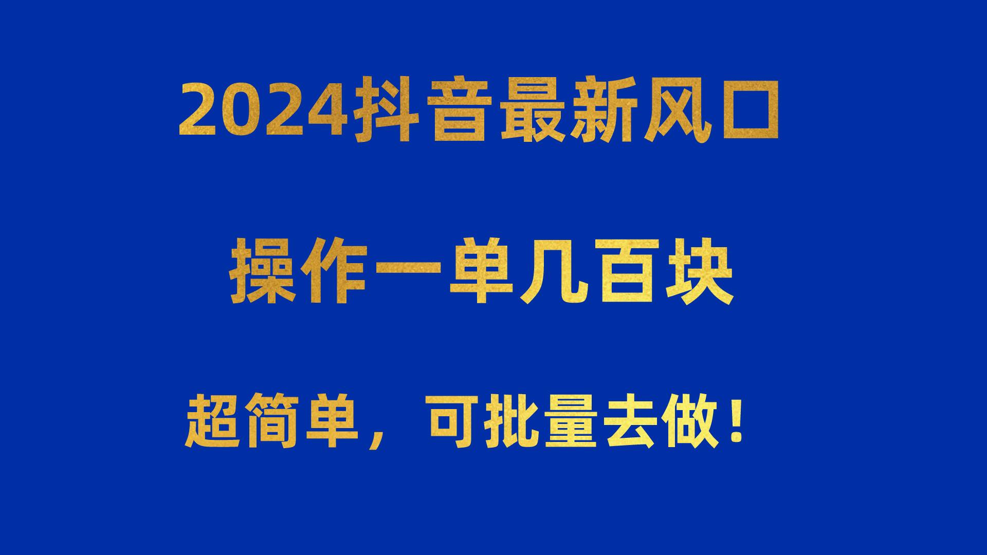 2024抖音最新风口！操作一单几百块！超简单，可批量去做！！！-皮皮网创