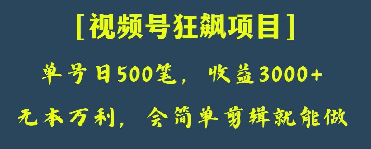 日收款500笔，纯利润3000+，视频号狂飙项目，会简单剪辑就能做【揭秘】-皮皮网创