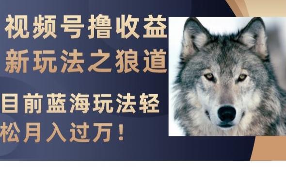 视频号撸收益新玩法之狼道，目前蓝海玩法，轻松月入过万【揭秘】-皮皮网创