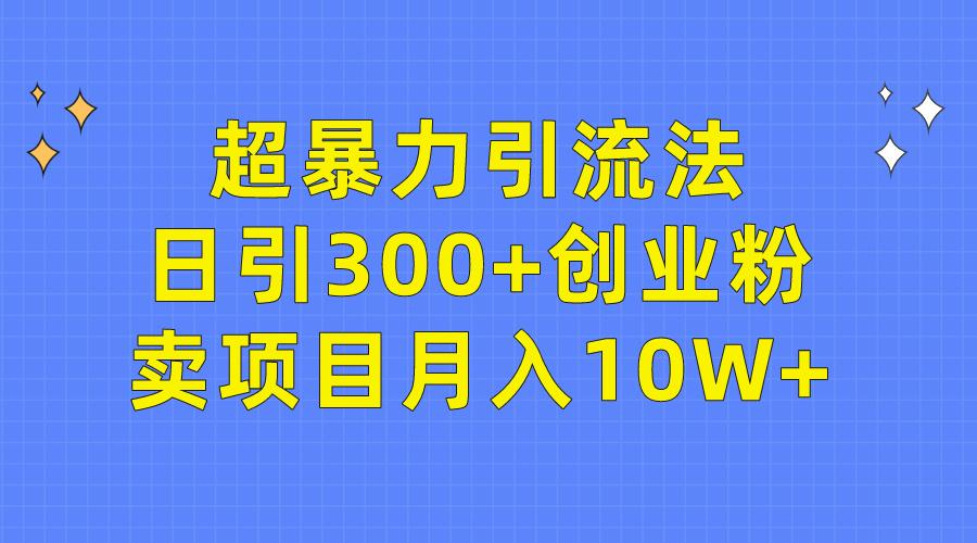 (9954期)超暴力引流法，日引300+创业粉，卖项目月入10W+-皮皮网创
