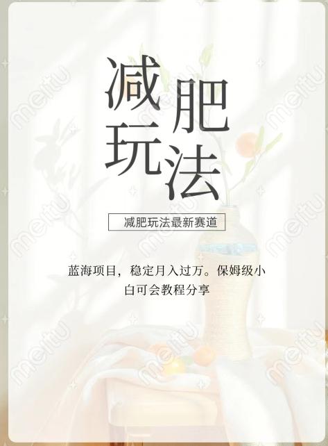 减肥流量主新玩法，轻松月入1W，可矩阵操作收入翻倍-皮皮网创