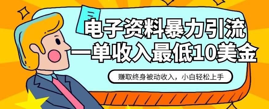 电子资料暴力引流，一单最低10美金，赚取终身被动收入，保姆级教程【揭秘】-皮皮网创