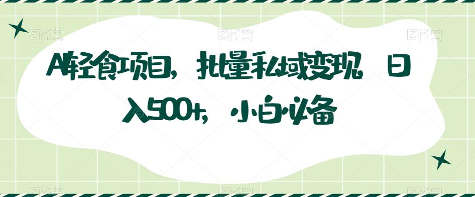 AI轻食项目，批量私域变现，日入500+，小白必备-皮皮网创