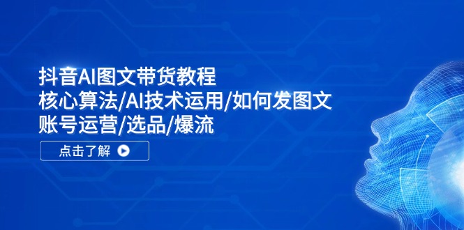 抖音AI图文带货教程：核心算法/AI技术运用/如何发图文/账号运营/选品/爆流-皮皮网创