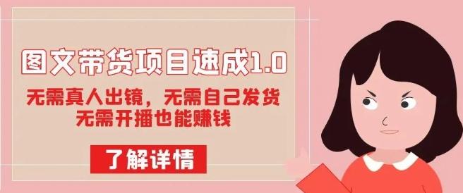 图文带货项目速成1.0：无需真人出镜，无需自己发货，无需开播也能赚钱！-皮皮网创