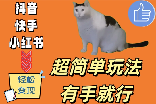 超简单玩法，有手就行，靠猫咪视频日入500+【揭秘】-皮皮网创