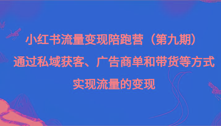 小红书流量变现陪跑营（第九期）通过私域获客、广告商单和带货等方式实现流量变现-皮皮网创