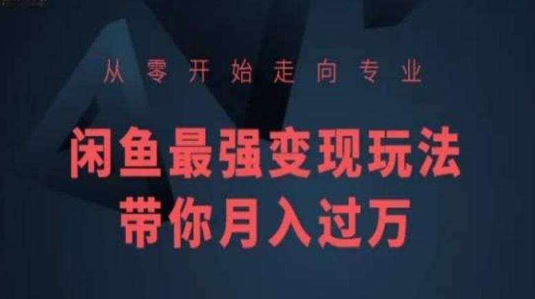 从零开始走向专业，闲鱼最强变现玩法带你月入过万-皮皮网创