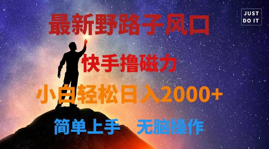最新风口！快手撸磁力，野路子，小白无脑操作日入2000+-皮皮网创