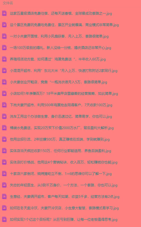 图片[2]-(9607期)真实有效391套商业模式，年入几十到几百万案例解析(电子书+视频+图文)-皮皮网创