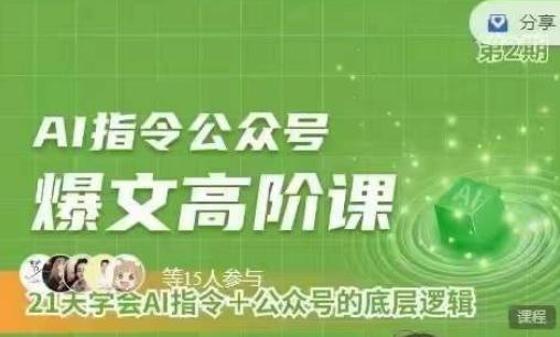 Ai指令公众号高阶课，学会ai指令+公众号的底层逻辑-皮皮网创