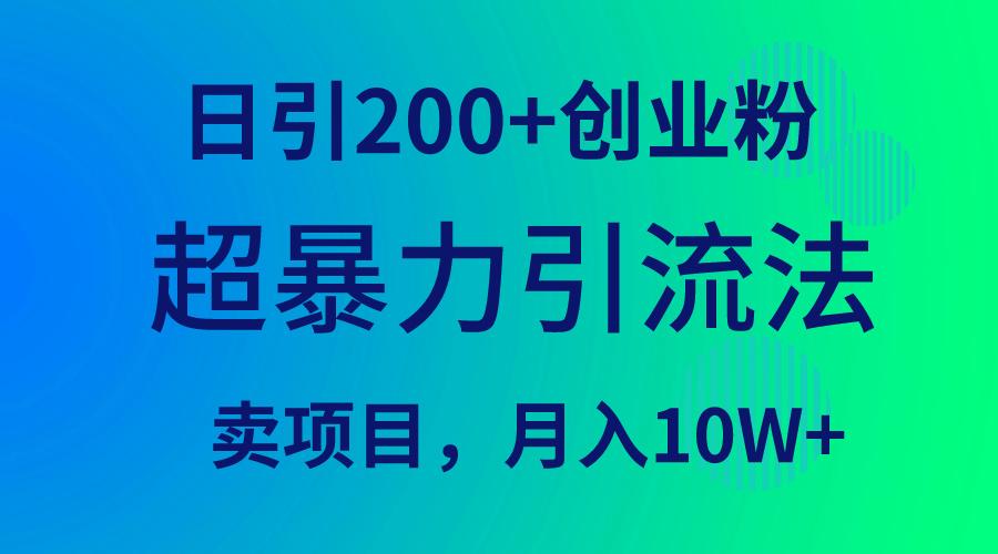 (9654期)超暴力引流法，日引200+创业粉，卖项目月入10W+-皮皮网创