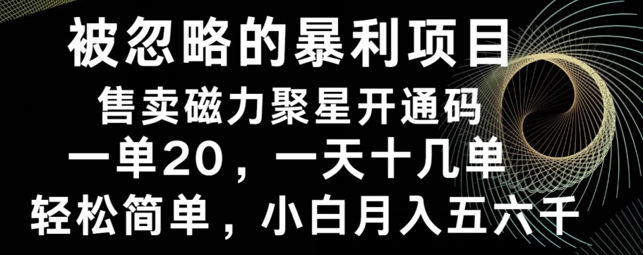 被忽略的暴利项目！售卖磁力聚星开通码，一单20，一天十几单，轻松月入五六千-皮皮网创