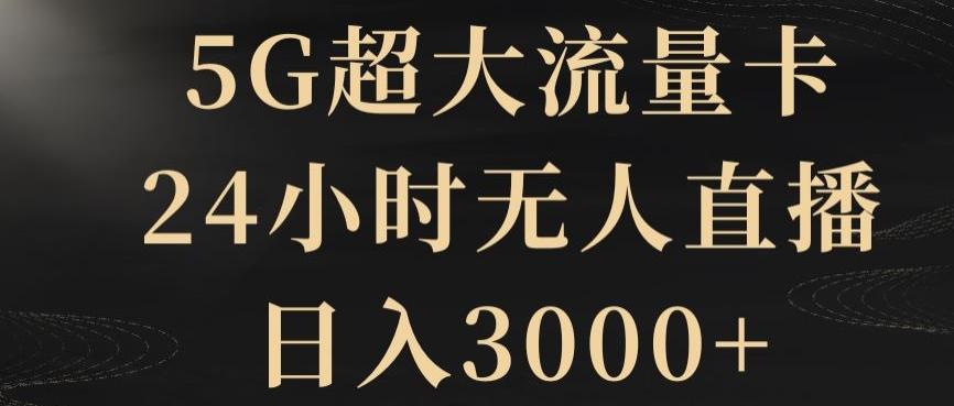 5G超大流量卡，24小时无人直播，日入3000+【揭秘】-皮皮网创