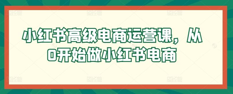 小红书高级电商运营课，从0开始做小红书电商-皮皮网创
