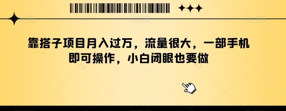 靠搭子项目月入过万，流量很大，一部手机即可操作，小白闭眼也要做-皮皮网创